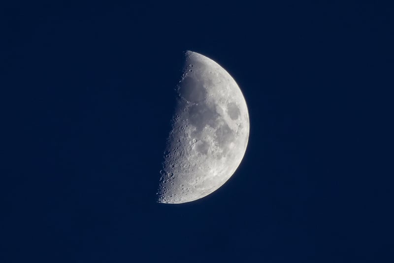 Moon Phase Wall Art